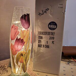 Beautiful Light with Tulips